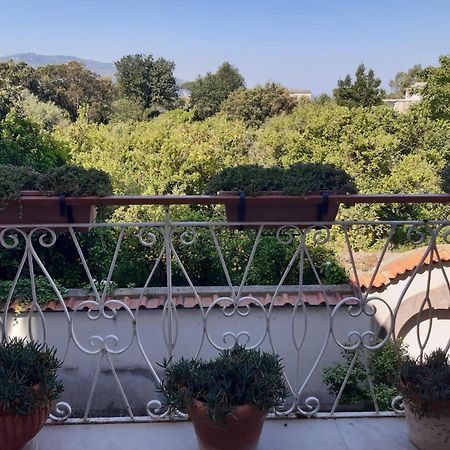 La Casa Di Rosa - Casa Vacanze Мета Экстерьер фото