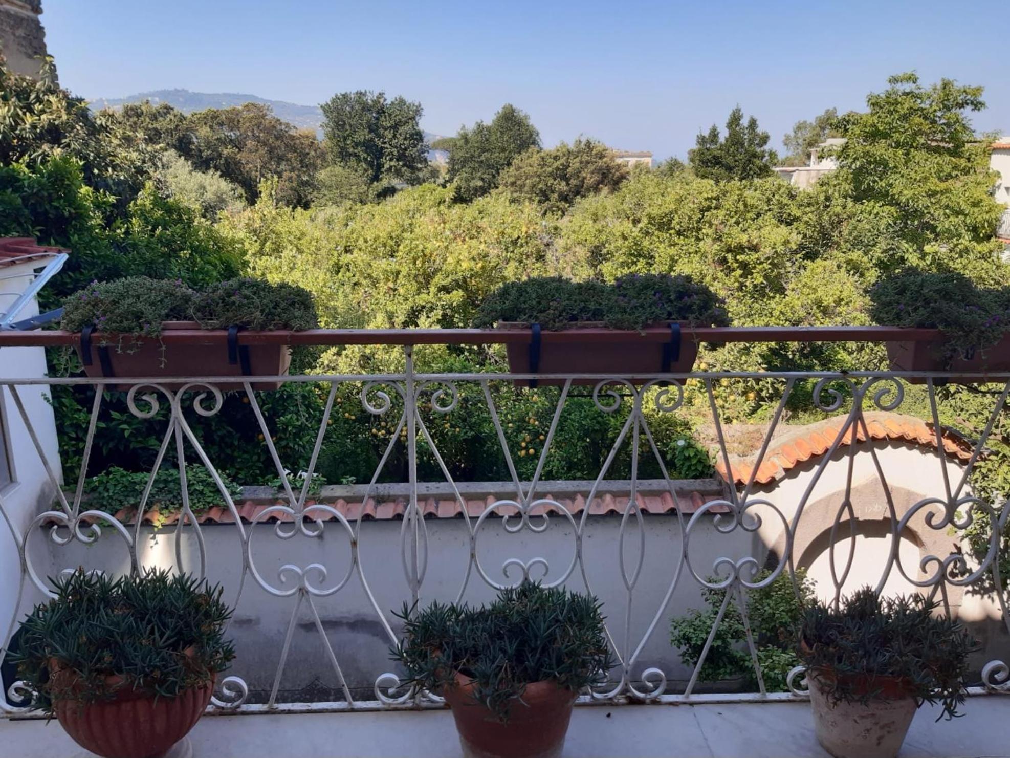 La Casa Di Rosa - Casa Vacanze Мета Экстерьер фото